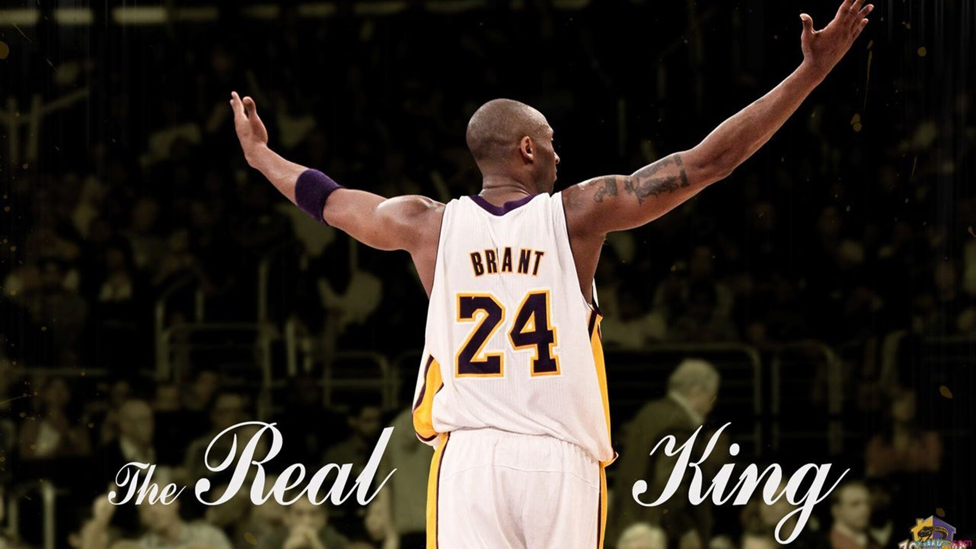 九游娱乐平台-“武汉马拉松：全球马拉松爱好者齐聚赛场”