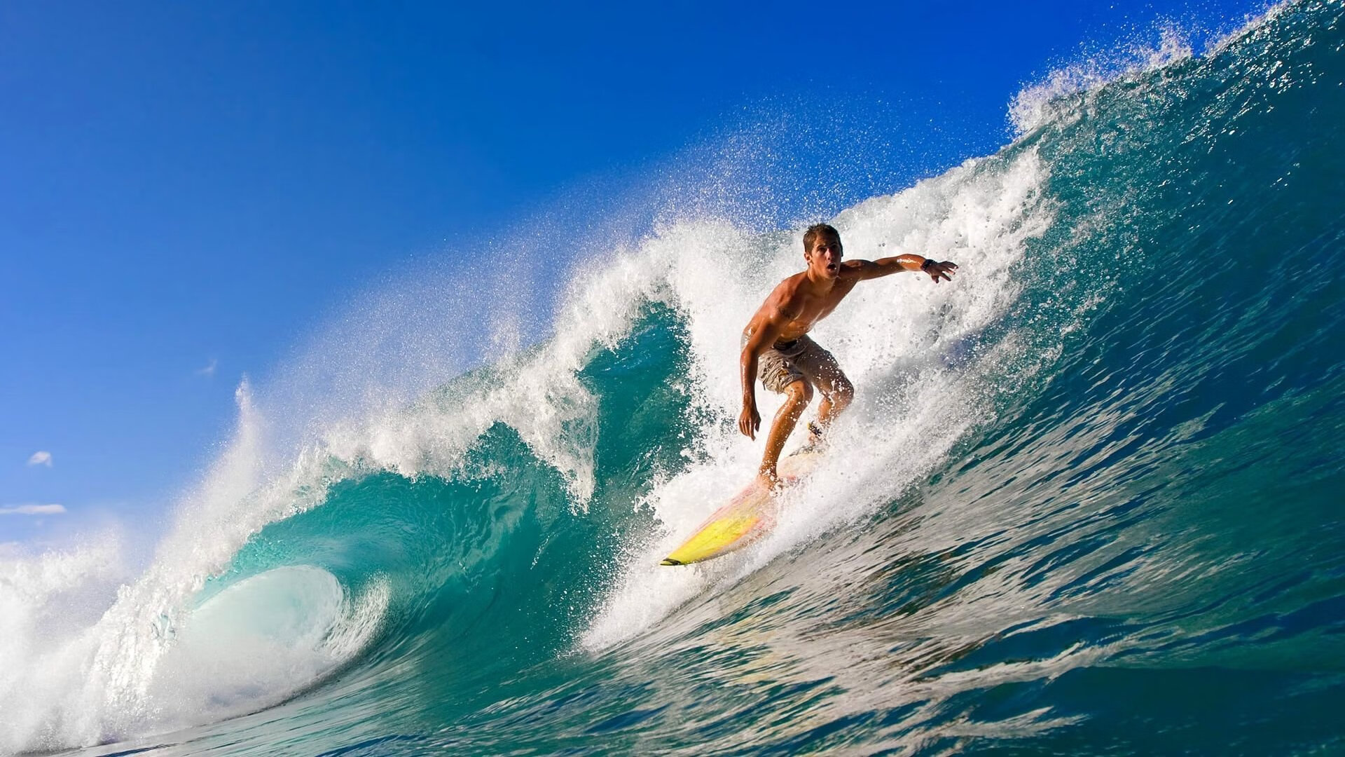 2025电竞盛会:谁能一统天下?,2021电竞赛事